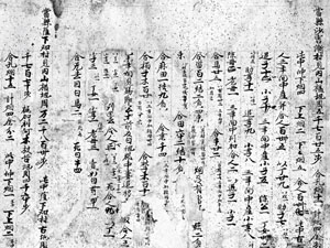 1933년 일본 도다이지 쇼소인에서 발견된 신라 촌락 문서