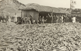 A pile of herrings