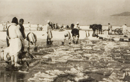Collecting ice from the Hangang