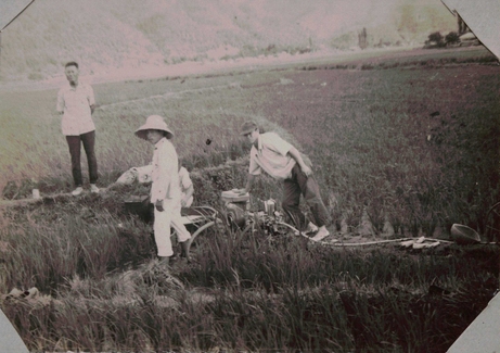Working together in rice paddy to prevent damage from pests and diseases, Handari-deul (field), Goryeong-gun